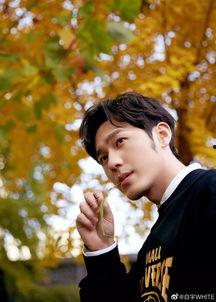 迪丽热巴白宇爆料视频,幕后真相引热议 第1张 迪丽热巴白宇爆料视频,幕后真相引热议 第1张