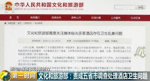 爆料奇特视频下载网站,带你探索未知领域 第3张 爆料奇特视频下载网站,带你探索未知领域 第3张